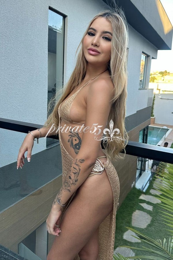 Foto 1 de Lari Terrier